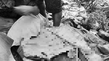 longsor-di-tembagapura-tujuh-warga-dikabarkan-meninggal-dunia