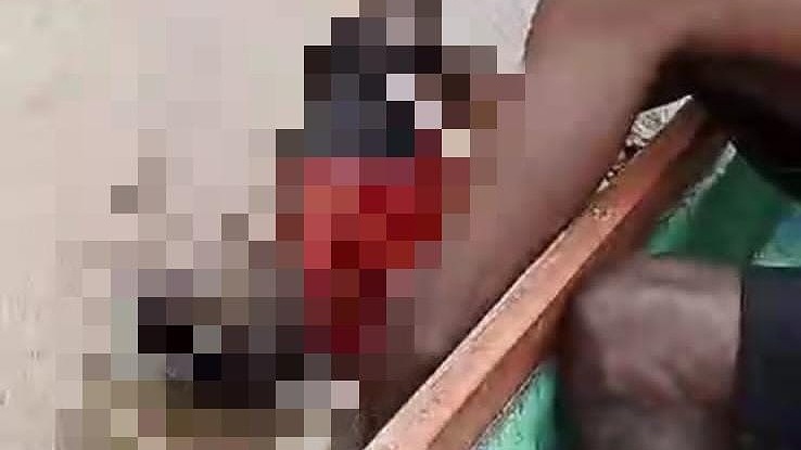 jatuh-dari-dermaga-valentino-ditemukan-meninggal-dunia