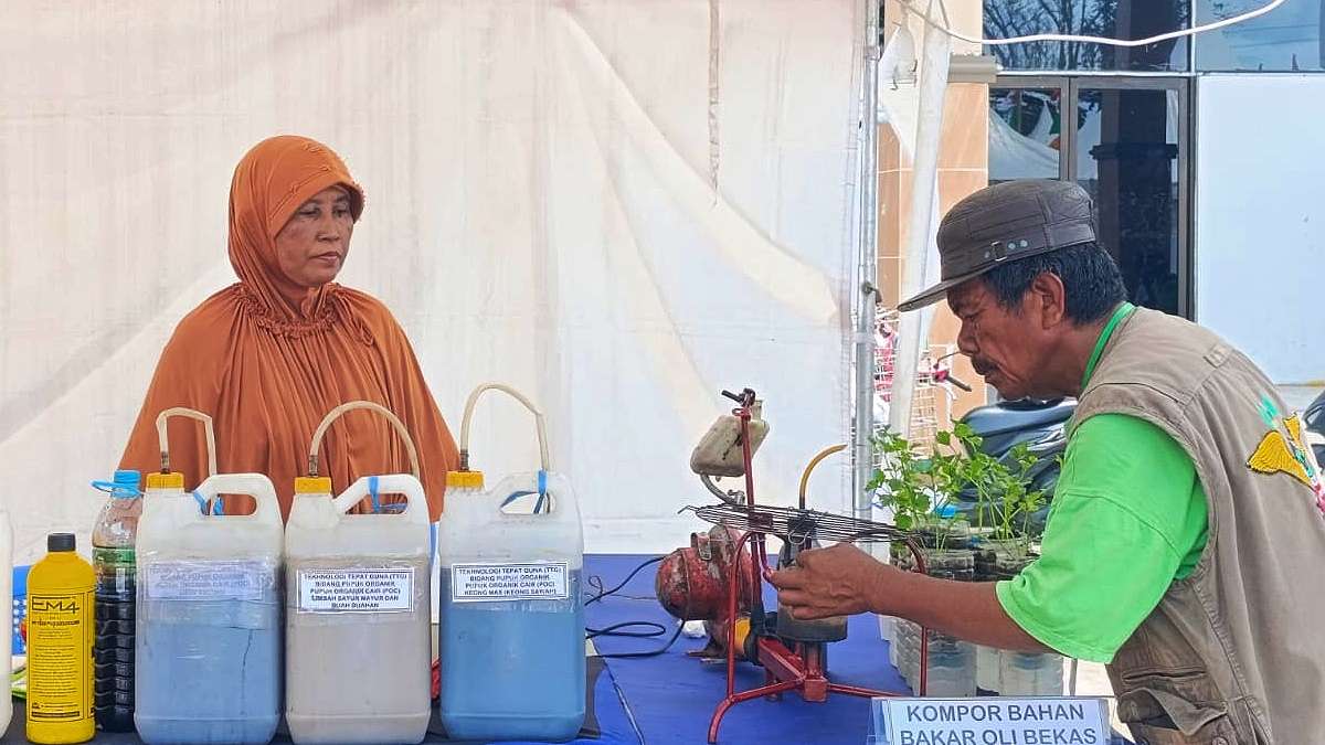 samsul-bahri-sukses-bertani-dengan-pupuk-organik-buatan-sendiri