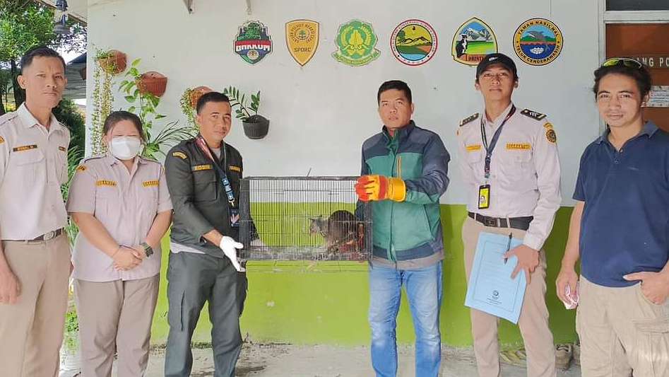 lagi-barantin-gagalkan-penyelundupan-satwa-papua-dilindungi