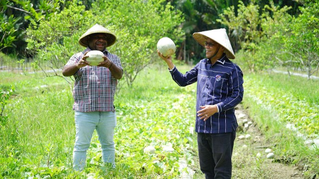 aiye-dan-misi-besar-memajukan-pertanian-mimika
