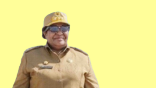 Wakil Menteri Dalam Negeri, Ribka Haluk