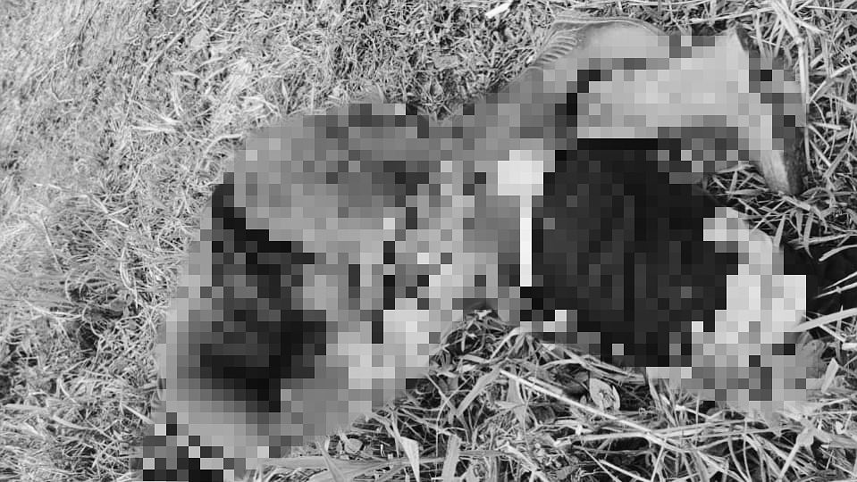 kkb-tembak-mati-dua-tukang-ojek-di-puncak