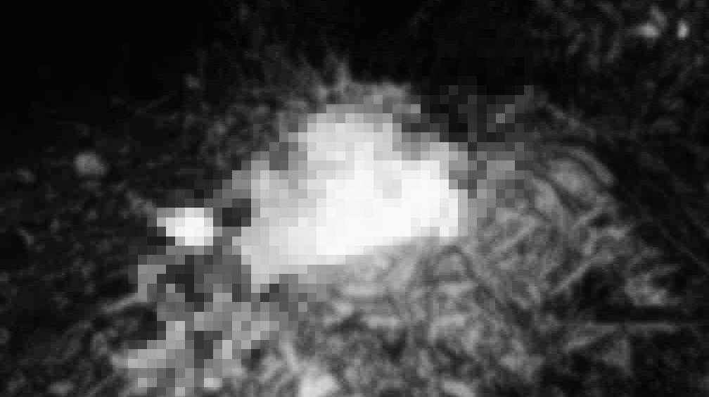 kkb-kejar-warga-sipil-di-yahukimo-satu-ditemukan-tewas