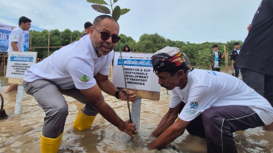 mangrove-for-life-program-pt-freeport-pulihkan-ekosistem-mangrove