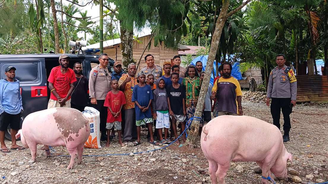 polres-mimika-beri-bantuan-babi-ke-jemaat-gereja-di-timika