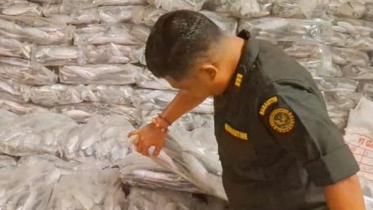 lolos-pemeriksaan-belasan-ton-ikan-kembung-dikirim-ke-surabaya