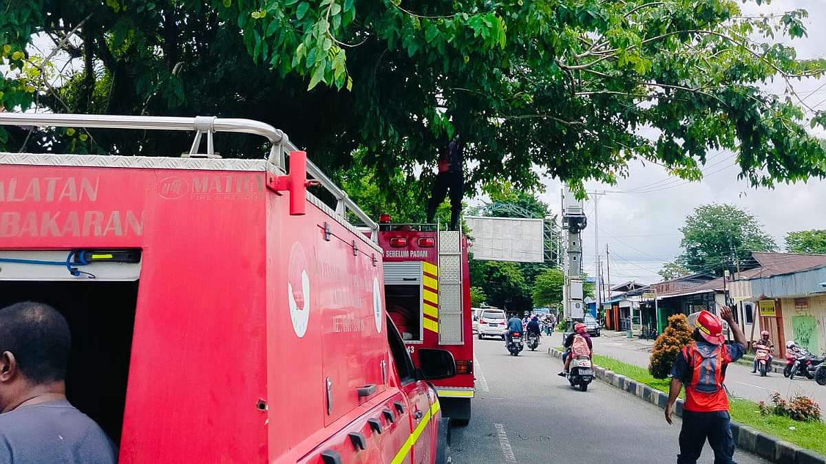 bapenda-gandeng-bpbd-tertibkan-papan-reklame