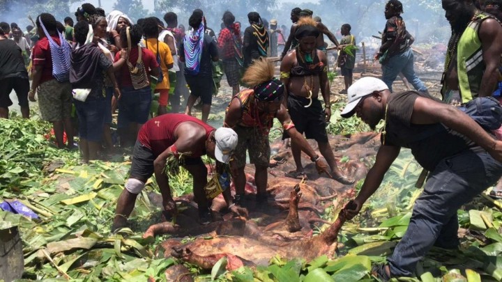 meki-nawipa-tegaskan-tidak-ada-acara-bakar-batu-di-pemerintahannya