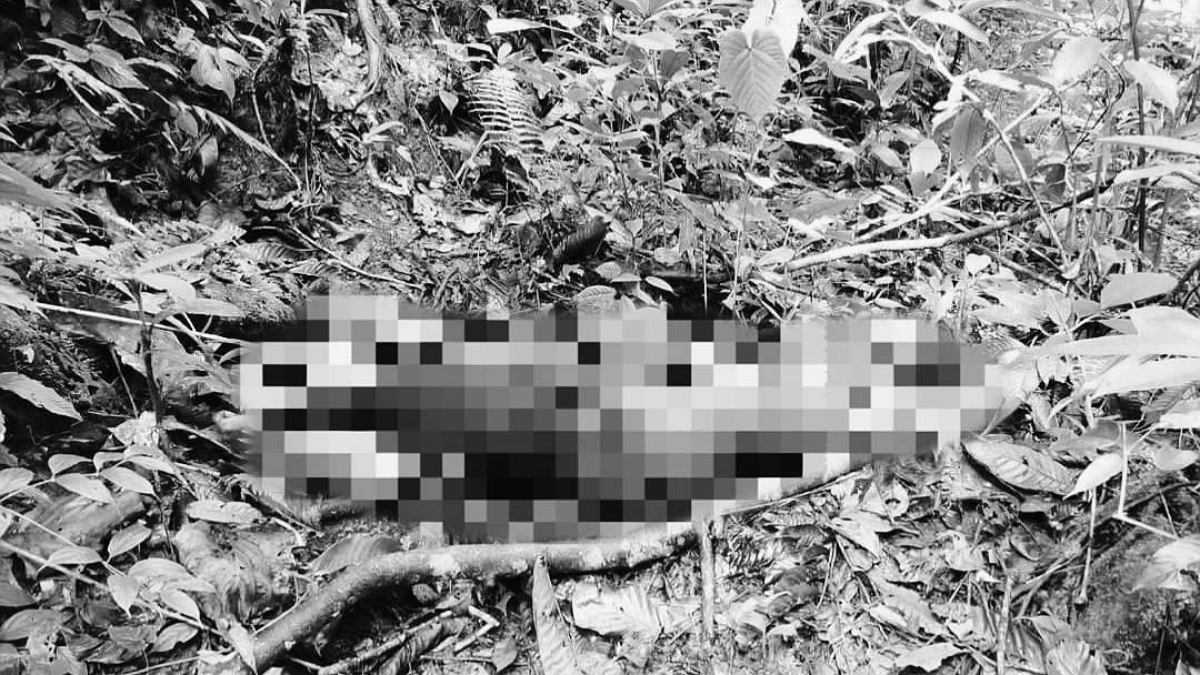 tpnpb-klaim-tembak-mati-11-pendulang-di-yahukimo