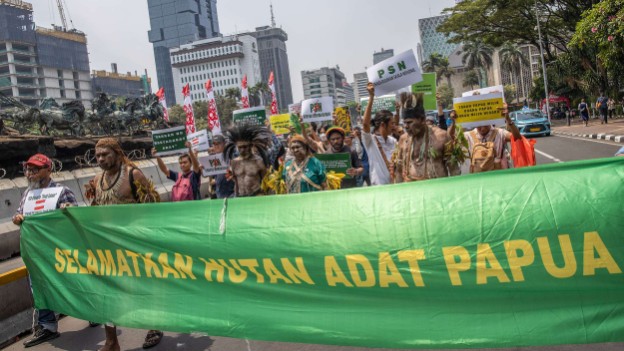 solidaritas-merauke-duga-psn-belum-kantongi-dokumen-lingkungan