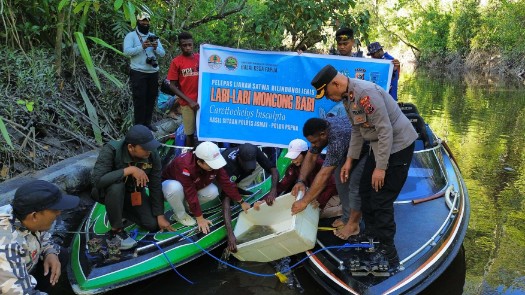 lepasliarkan-180-ekor-kura-kura-moncong-babi-di-asmat-karantina-hasil-sitaan-perdagangan-ilegal