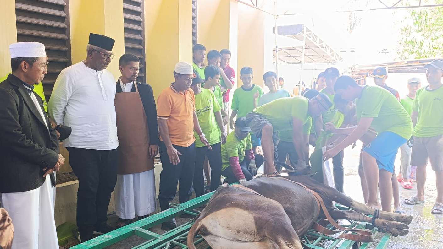 tahun-ini-masjid-ldii-timika-berkurban-19-ekor-sapi-dan-4-ekor-kambing