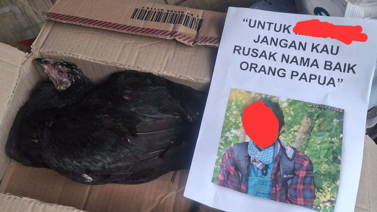 amp-yogyakarta-diteror-ayam-mati-dalam-kardus