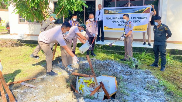 barantin-papua-tengah-musnahkan-60-kg-daging-babi-tanpa-dokumen