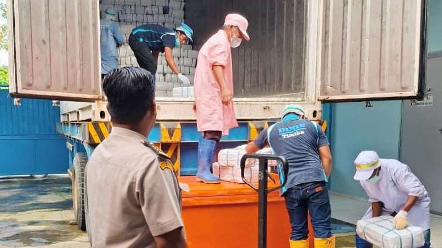 puluhan-ton-ikan-asal-timika-dikirim-ke-jakarta-makassar