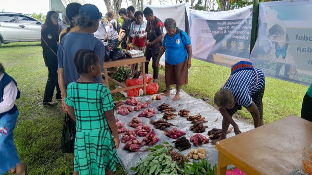 tingkatkan-ekonomi-keluarga-harmoni-alam-papuana-dampingi-masyarakat-kampung-waninggap-nanggo-bertani-organik