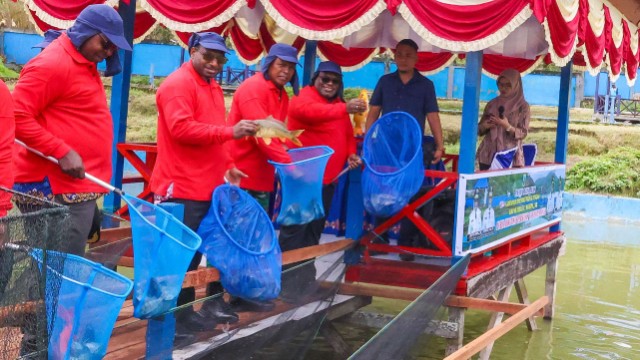 gubernur-meki-nawipa-panen-raya-ikan-di-paniai