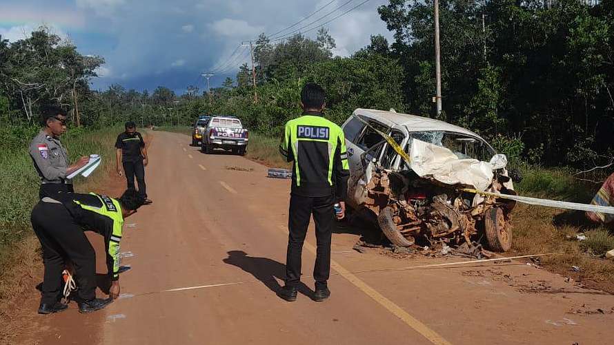 polisi-ungkap-sebab-dua-mobil-adu-banteng-di-merauke