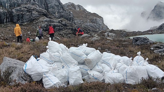 karyawan-pt-freeport-bersihkan-sampah-di-jalur-pendakian-carstensz