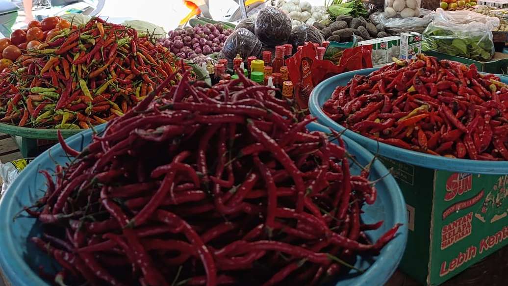 curah-hujan-tinggi-harga-cabai-di-timika-capai-rp120-ribu-sekilo