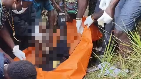 dua-pasukannya-tewas-tpnpb-opm-umumkan-duka-nasional