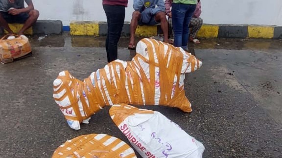 karung-putih-isi-motor-gagal-dikirim-ke-tanimbar-pemilik-ditangkap-polisi