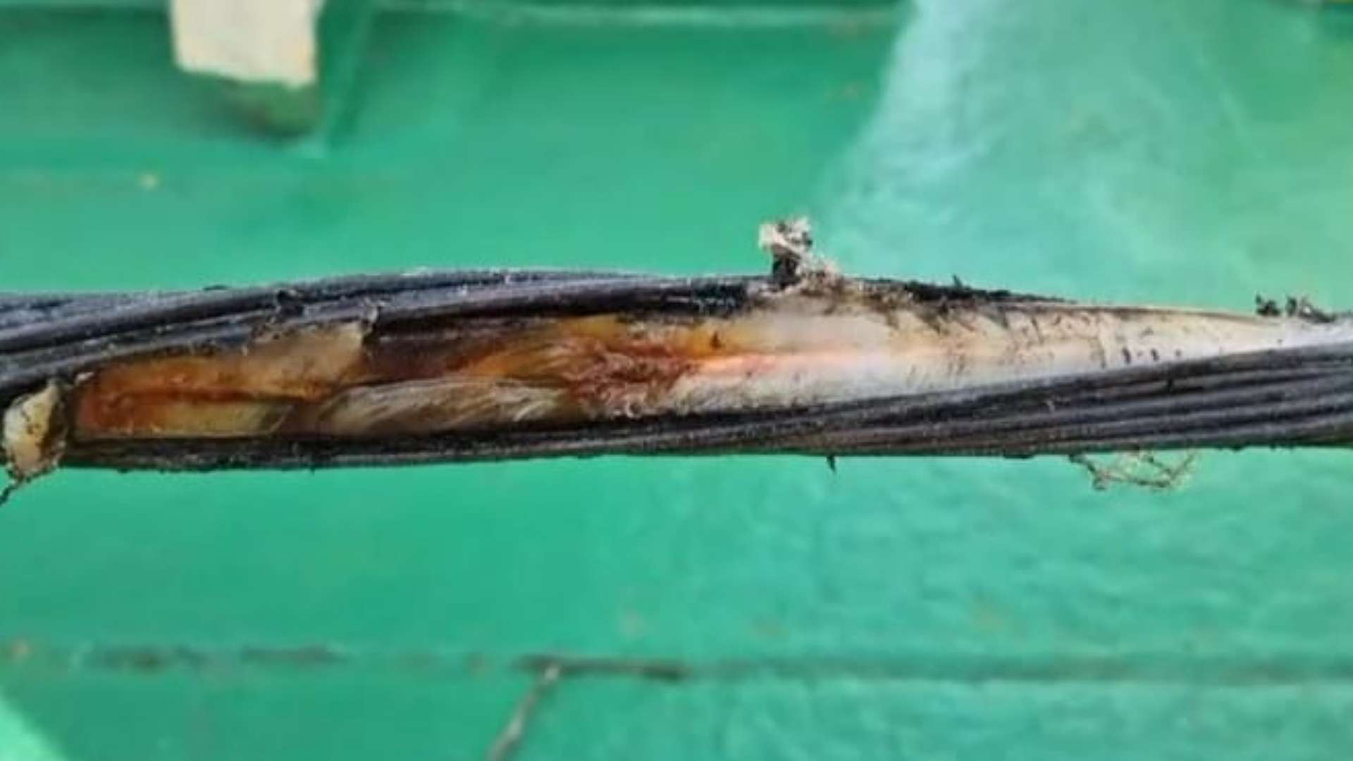 Tangkapan layar kerusakan kabel laut. Sumber: PT TelkomGroup