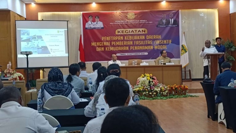 punya-potensi-pemkab-mimika-dorong-investor-berinvestasi-di-daerah