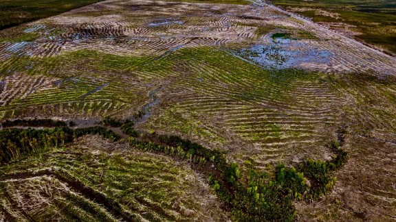 vampir-ekonomi-di-tanah-malind-psn-merauke-dan-penghancuran-hak-adat