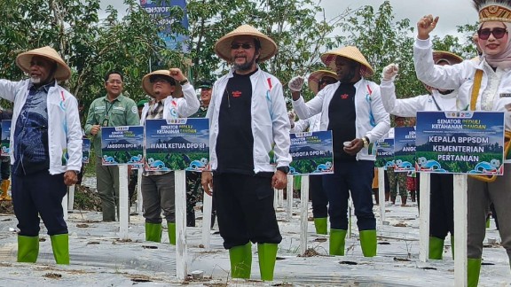 perkuat-ketahanan-pangan-denias-geley-dan-yorrys-raweyai-tanam-jagung-di-mimika