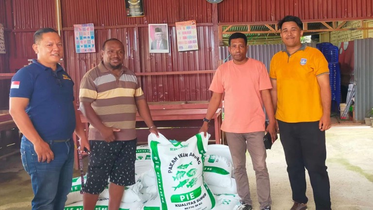 dorong-ekonomi-peternak-ikan-oap-pemprov-papua-selatan-bantu-pakan-ikan