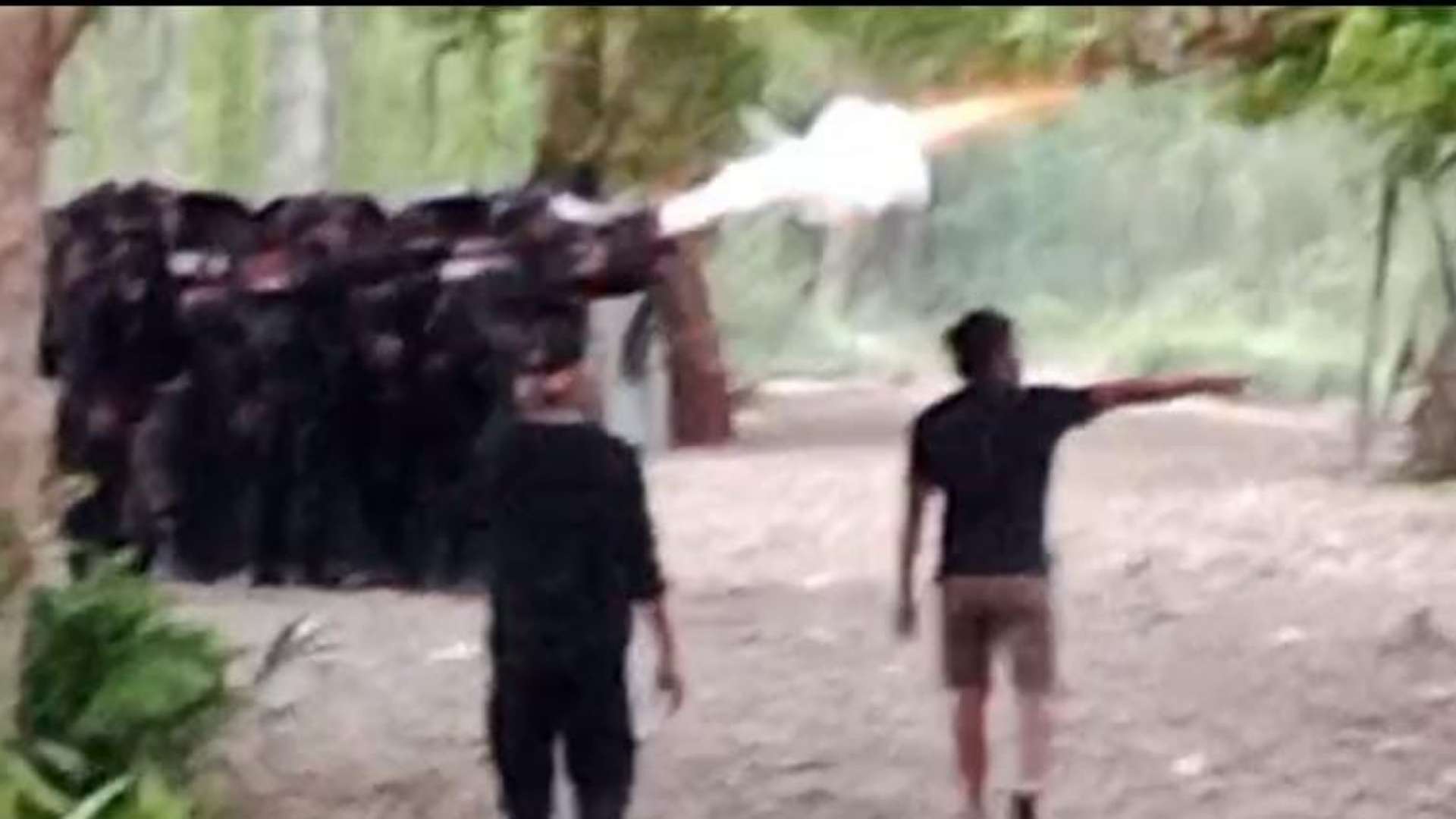 konflik-di-kwamki-narama-kembali-pecah-pendeta-jadi-korban