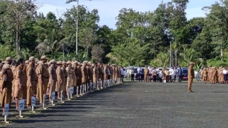 pemkab-mimika-tambah-dinas-baru-dan-bentuk-brida