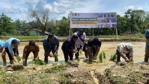 DPRK Mimika Dukung Yonif 754/ENK Jadikan Sawah Sebagai Pusat Pelatihan Pertanian
