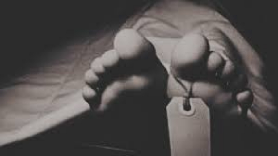 camp-pencari-kayu-gaharu-diserang-dua-pekerja-tewas