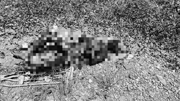 Mayat dengan kondisi hangus terbakar di lahan kosong area Jalan WR. Supratman Timika pada 1 Mei 2025. Foto: Istimewa