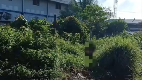 Screenshot video beredar menunjukkan orang gantung diri di wilayah Nawaripi Timika. Foto: Screenshot Video