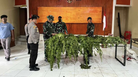 tim-gabungan-temukan-ladang-ganja-di-pegunungan-bintang