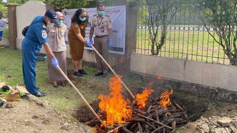 Karantina Papua Tengah Musnahkan Satu Ekor Sapi di Timika l.. Foto: Karantina Papua Tengah