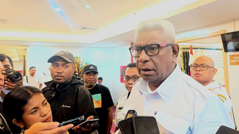 Pemkab Mimika Bentuk UPTD Malaria