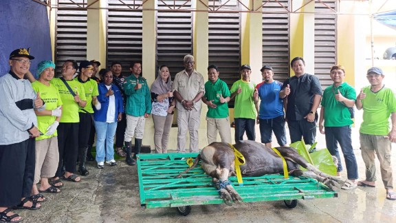 Semangat Berbagi, Masjid Miftahul Huda  Mimika Sembelih 17 Sapi dan 12 Kambing Idul Adha Tahun ini