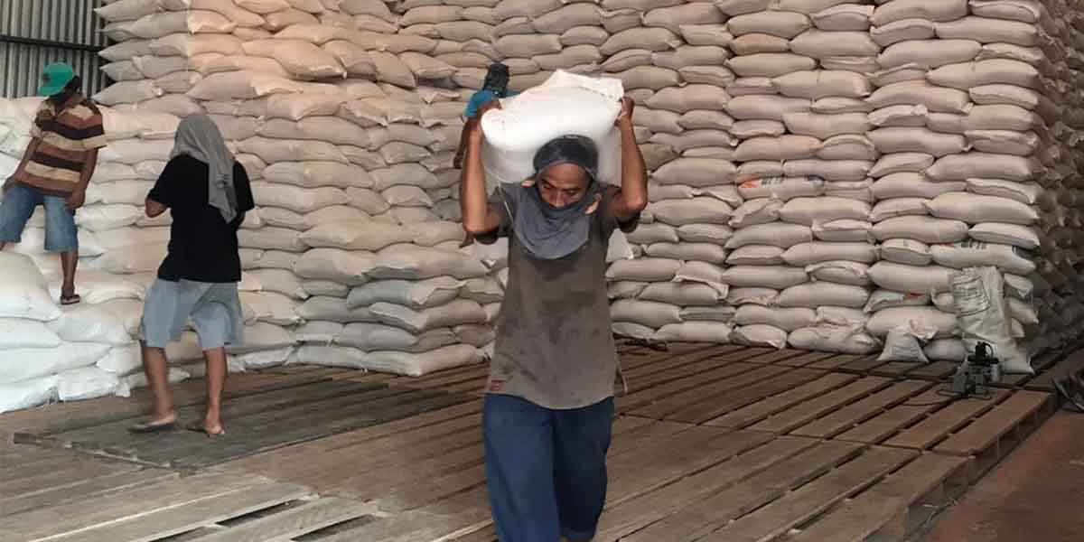Aktivitas di gudang Bulog Timika, foto: Dok/ Papua60detik