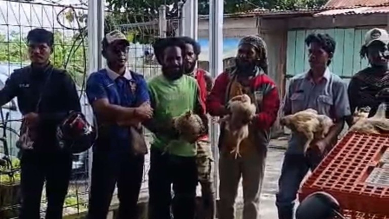 Puluhan peternak lokal ayam broiler (pedaging) di Timika mendatangi Rumah Potong Hewan Unggas (RPHU) di Pasar Sentral Timika, Jumat (12/06/2026). Foto: Martha/ Papua60detik