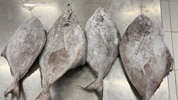 Sebanyak 42 ton ikan bawal hitam milik CV Seafood Sejahtera Papua (SSP) resmi diekspor perdana ke Malaysia melalui Pelabuhan Perikanan Pomako. foto: Istimewa