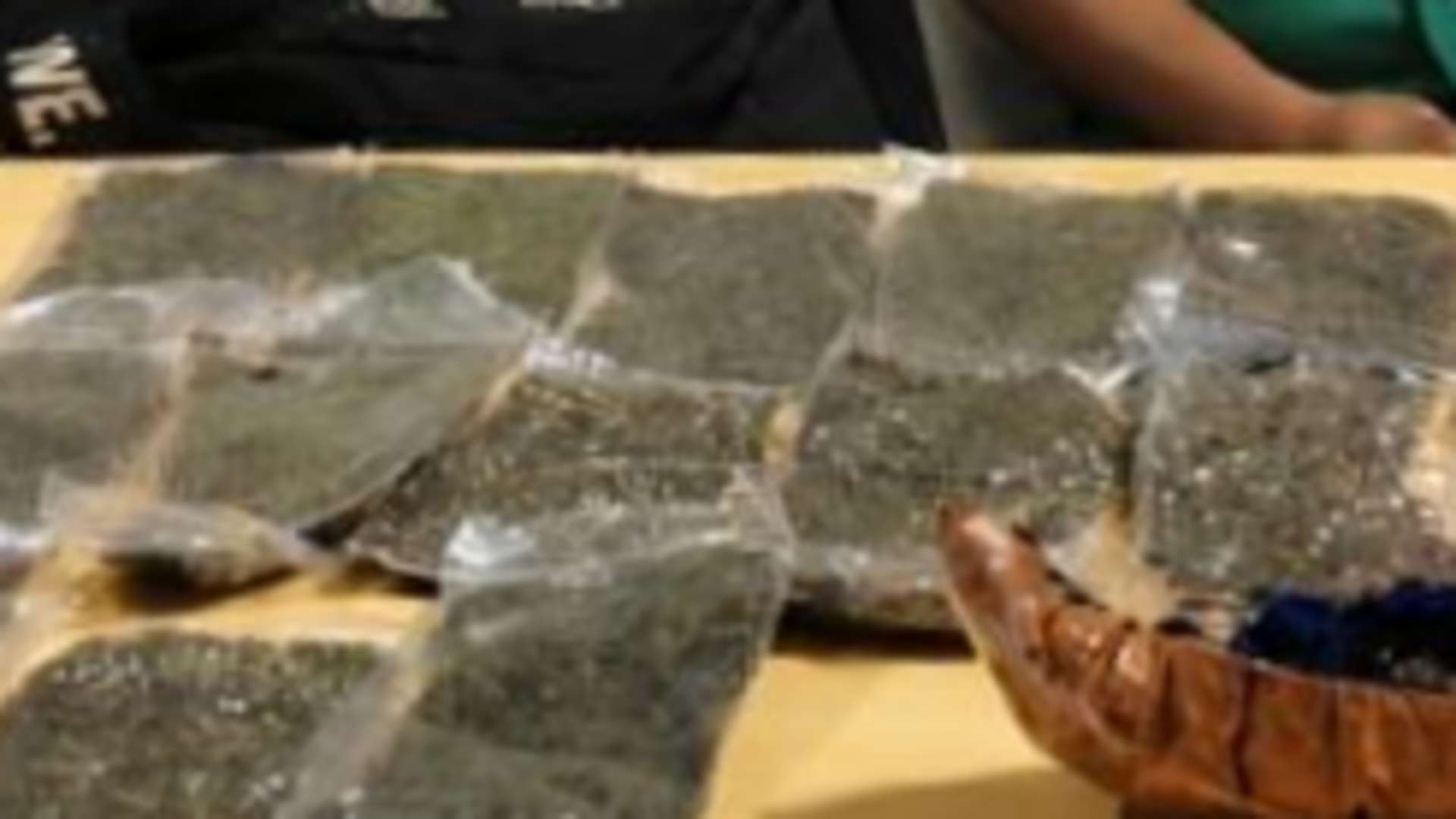 Barang bukti narkotika jenis ganja yang disita petugas Bandara Sentani, Senin (13/7/2026) ANTARA/HO-Humas Bandara Internasional Sentani Jayapura