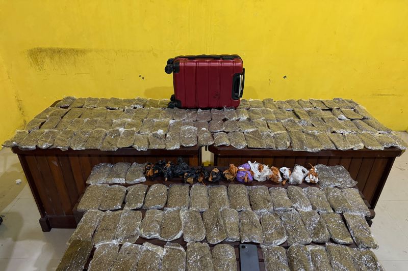 Bawa Ganja 5,4 kg, Polisi Tangkap Seorang Perempuan di Pelabuhan