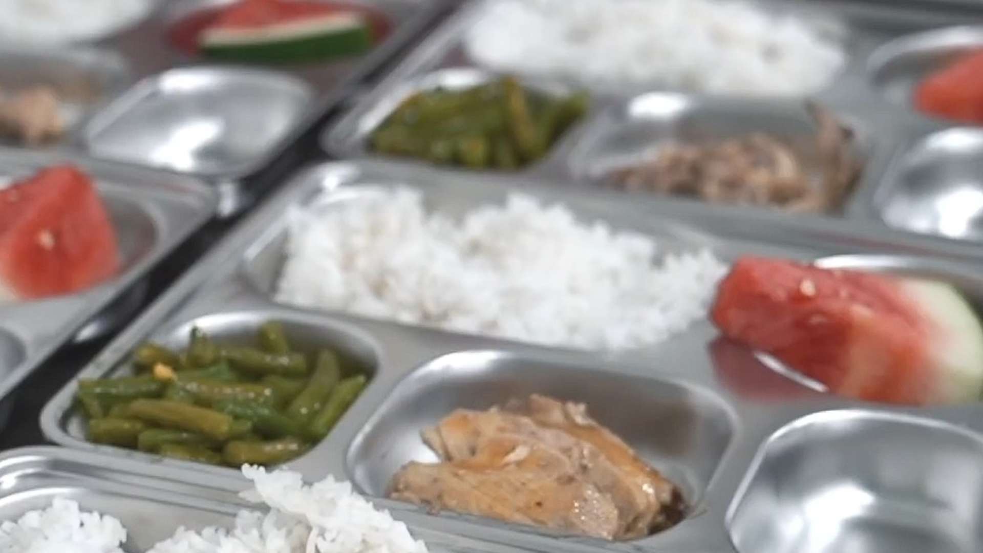 kemenkes-temukan-bakteri-e-coli-di-menu-mbg-penyebab-keracunan-siswa-di-jayapura