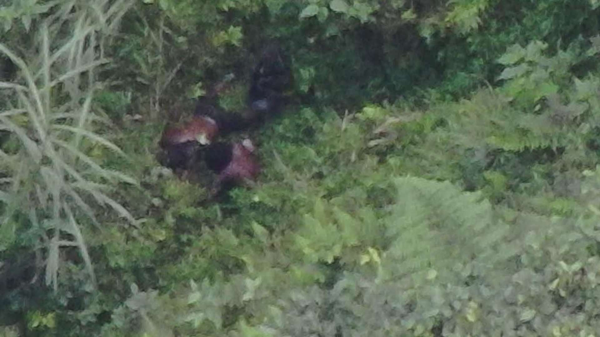 Tim gabungan Satgas Kepolisian melumpuhkan seorang pria berinisial GW di Tembagapura, Kabupaten Mimika, Papua Tengah, Jumat (7/8/2026). Foto: Satgas Humas Damai Cartenz-2026