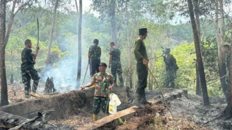 Personel TNI yang merupakan bagian dari tim petugas gabungan memadamkan api kebakaran lahan di perbukitan Woroth, Kelurahan Kakublik, Distrik Sorong Kota, Kota Sorong, Papua Barat Daya, Kamis (23/7/2026). ANTARA/HO-BPBD Sorong.